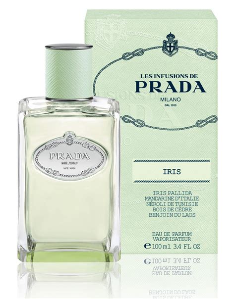 prada iris perfume fragrantica